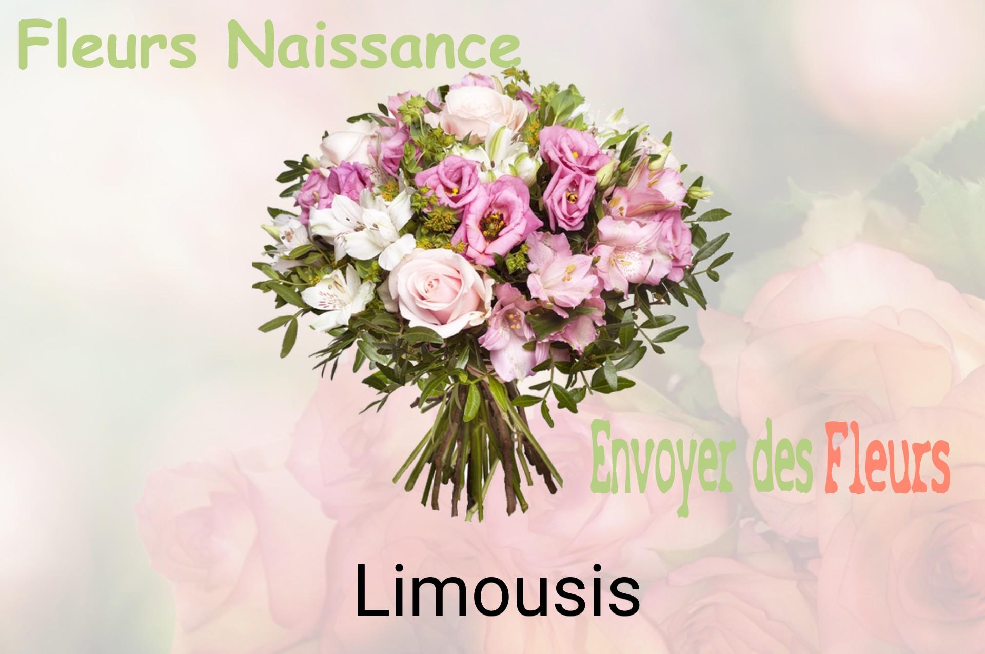Bouquet de fleurs de naissance livré à Limousis