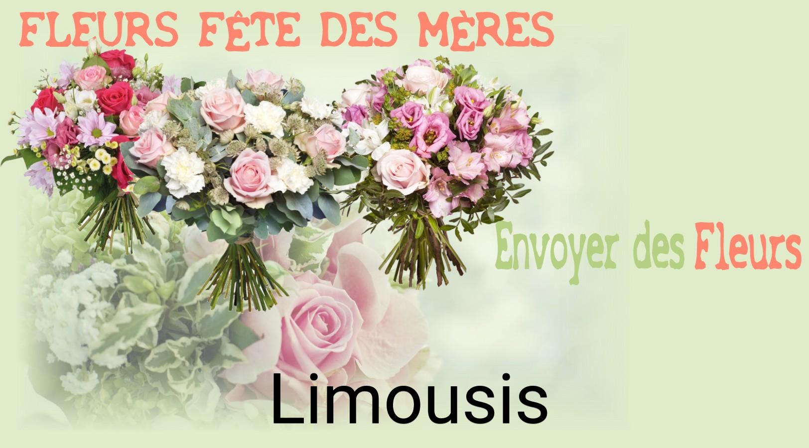Bouquet de Fête des Mères livré à Limousis
